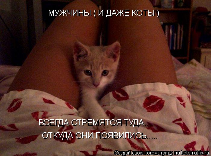 МУЖЧИНЫ ( И ДАЖЕ КОТЫ ) ВСЕГДА СТРЕМЯТСЯ ТУДА.... ОТКУДА ОНИ ПОЯВИЛИСЬ........ Котоматрица: МУЖЧИНЫ ( И ДАЖЕ КОТЫ ) ВСЕГДА СТРЕМЯТСЯ ТУДА.... ОТКУДА ОНИ ПОЯВИЛИСЬ.....