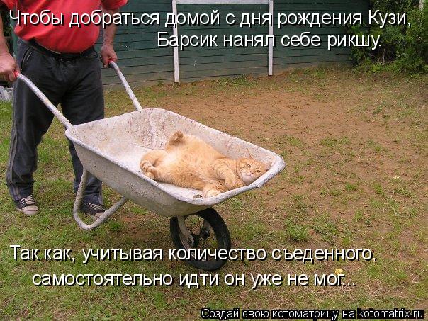 С днем добраться С днем добраться