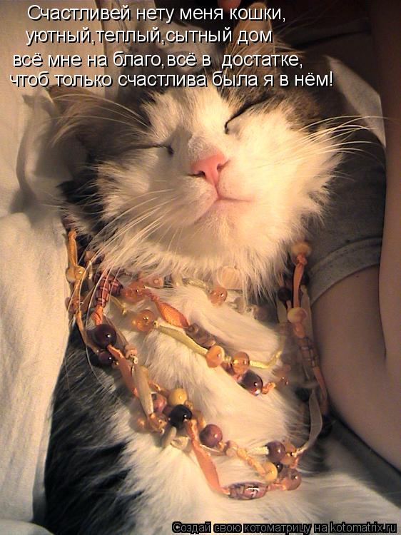 Котоматрица: Счастливей нету меня кошки, уютный,теплый,сытный дом всё мне на благо,всё в  достатке, чтоб только счастлива была я в нём!