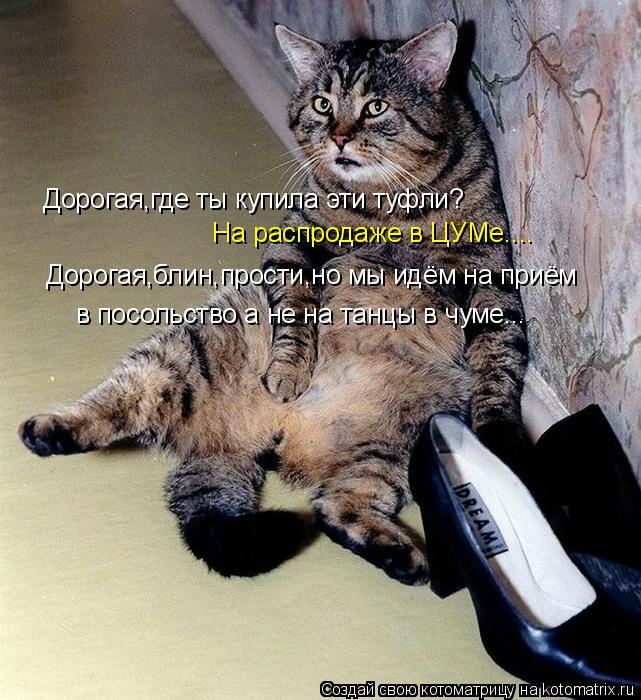 Дорогая,где ты купила эти туфли? На распродаже в ЦУМе.... Дорогая,блин,прости,но мы идём на приём в п... Котоматрица: Дорогая,где ты купила эти туфли? На распродаже в ЦУМе.... Дорогая,блин,прости,но мы идём на приём в посольство а не на танцы в чуме...