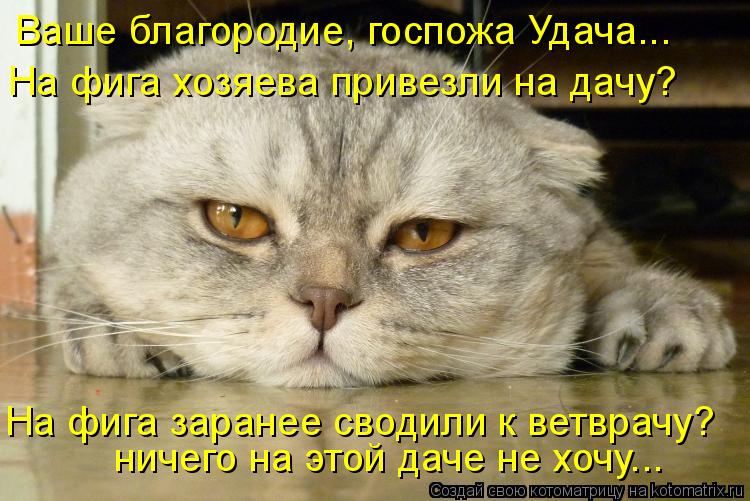 На фига заранее сводили к ветврачу? ничего на этой даче не хочу... Ваше благородие, госпожа Удача... ... Котоматрица: На фига заранее сводили к ветврачу? ничего на этой даче не хочу... Ваше благородие, госпожа Удача... На фига хозяева привезли на дачу?