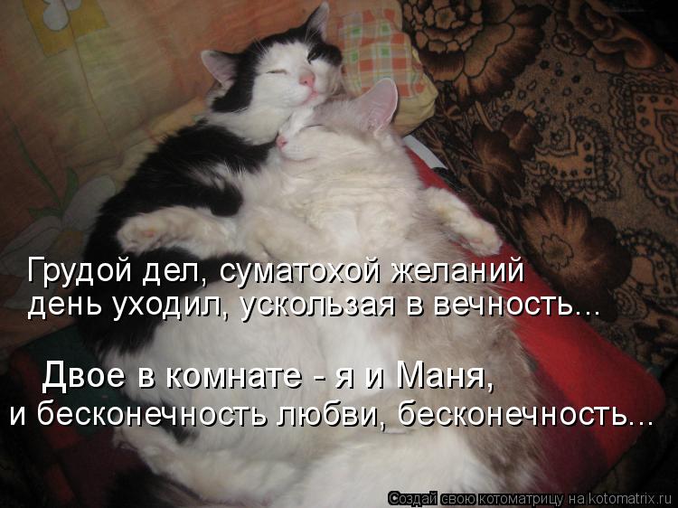 Двое в комнате - я и Маня, и бесконечность любви, бесконечность... Грудой дел, суматохой желаний ден... Котоматрица: Двое в комнате - я и Маня, и бесконечность любви, бесконечность... Грудой дел, суматохой желаний день уходил, ускользая в вечность...