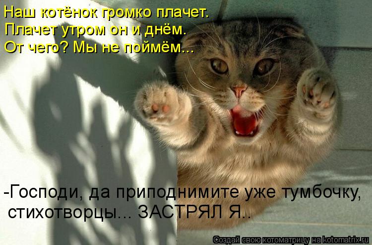 Наш котёнок громко плачет. Плачет утром он и днём. От чего? Мы не поймём... -Господи, да приподнимите... Котоматрица: Наш котёнок громко плачет. Плачет утром он и днём. От чего? Мы не поймём... -Господи, да приподнимите уже тумбочку, стихотворцы... ЗАСТРЯЛ Я..