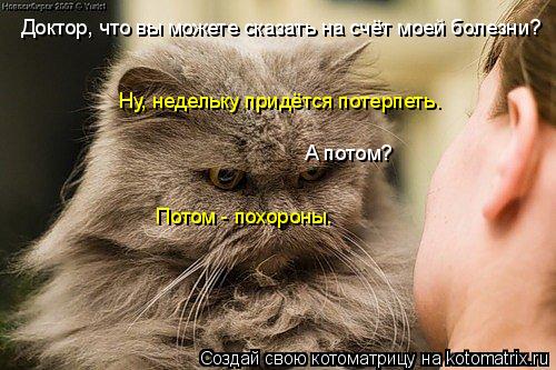 Доктор, что вы можете сказать на счёт моей болезни? Ну, недельку придётся потерпеть. А потом? Потом -... Котоматрица: Доктор, что вы можете сказать на счёт моей болезни? Ну, недельку придётся потерпеть. А потом? Потом - похороны.