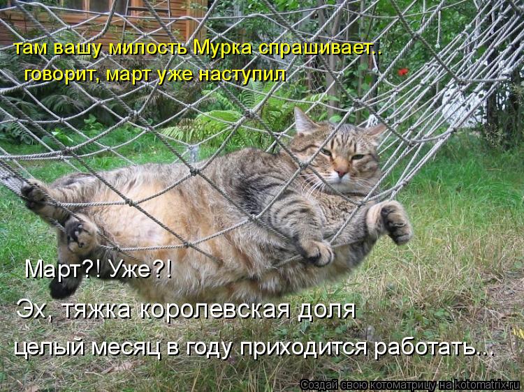 Котоматрица: там вашу милость Мурка спрашивает.. Эх, тяжка королевская доля целый месяц в году приходится работать... Март?! Уже?! говорит, март уже наступи