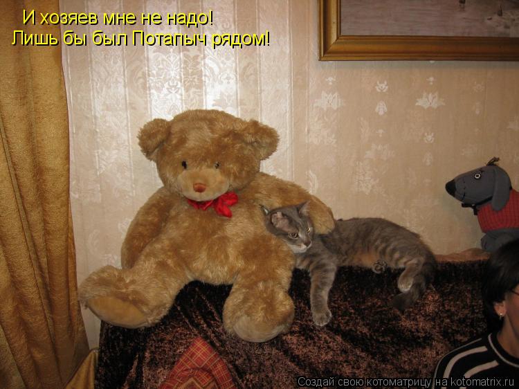 Котоматрица: И хозяев мне не надо! Лишь бы был Потапыч рядом!