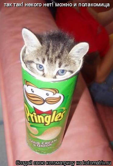 Котоматрица: так так! некого нет! можно и полакомица