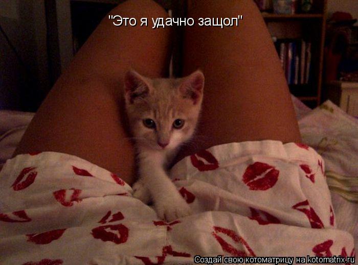 "Это я удачно защол"... Котоматрица: "Это я удачно защол"