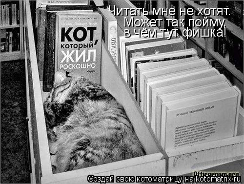 Читать мне не хотят. Может так пойму, в чём тут фишка!... Котоматрица: Читать мне не хотят. Может так пойму, в чём тут фишка!