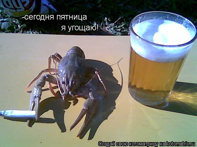 -сегодня пятница я угощаю!... Котоматрица: -сегодня пятница я угощаю!