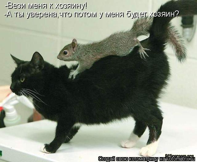 -Вези меня к хозяину! -А ты уверена,что потом у меня будет хозяин?... Котоматрица: -Вези меня к хозяину! -А ты уверена,что потом у меня будет хозяин?