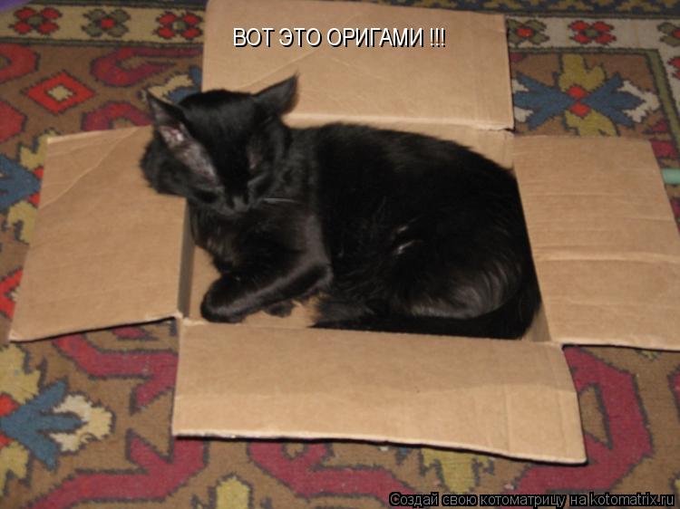 ВОТ ЭТО ОРИГАМИ !!!... Котоматрица: ВОТ ЭТО ОРИГАМИ !!!
