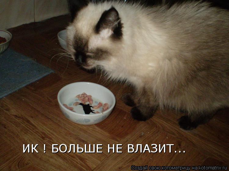 ИК ! БОЛЬШЕ НЕ ВЛАЗИТ...... Котоматрица: ИК ! БОЛЬШЕ НЕ ВЛАЗИТ...