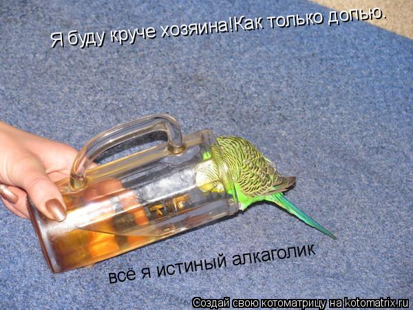Я буду круче хозяина!Как только допью. всё я истиный алкаголик... Котоматрица: Я буду круче хозяина!Как только допью. всё я истиный алкаголик