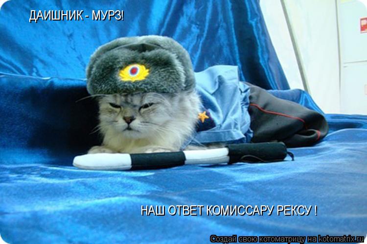 ДАИШНИК - МУРЗ! НАШ ОТВЕТ КОМИССАРУ РЕКСУ !... Котоматрица: ДАИШНИК - МУРЗ! НАШ ОТВЕТ КОМИССАРУ РЕКСУ !
