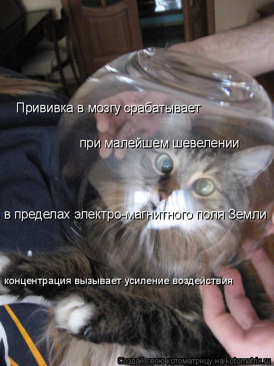 Прививка в мозгу срабатывает при малейшем шевелении в пределах электро-магнитного поля Земли концент... Котоматрица: Прививка в мозгу срабатывает при малейшем шевелении в пределах электро-магнитного поля Земли концентрация вызывает усиление воздействия