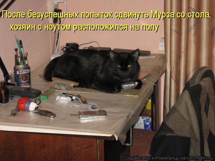 После безуспешных попыток сдвинуть Мурза со стола, хозяин с ноутом расположился на полу... Котоматрица: После безуспешных попыток сдвинуть Мурза со стола, хозяин с ноутом расположился на полу