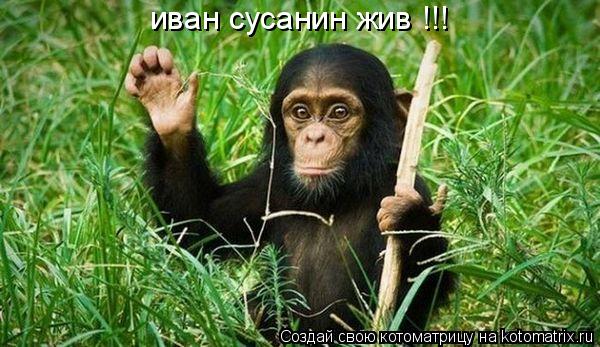 иван сусанин жив !!!... Котоматрица: иван сусанин жив !!!