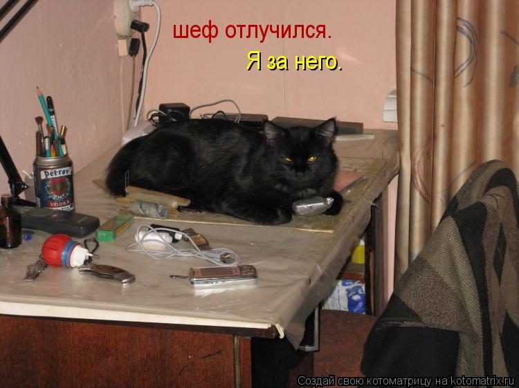 Я за него. шеф отлучился.... Котоматрица: Я за него. шеф отлучился.