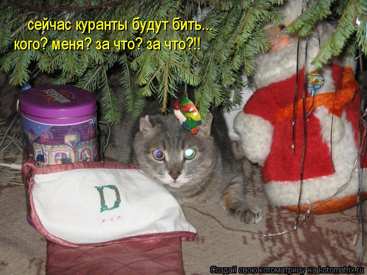 сейчас куранты будут бить... кого? меня? за что? за что?!!... Котоматрица: сейчас куранты будут бить... кого? меня? за что? за что?!!