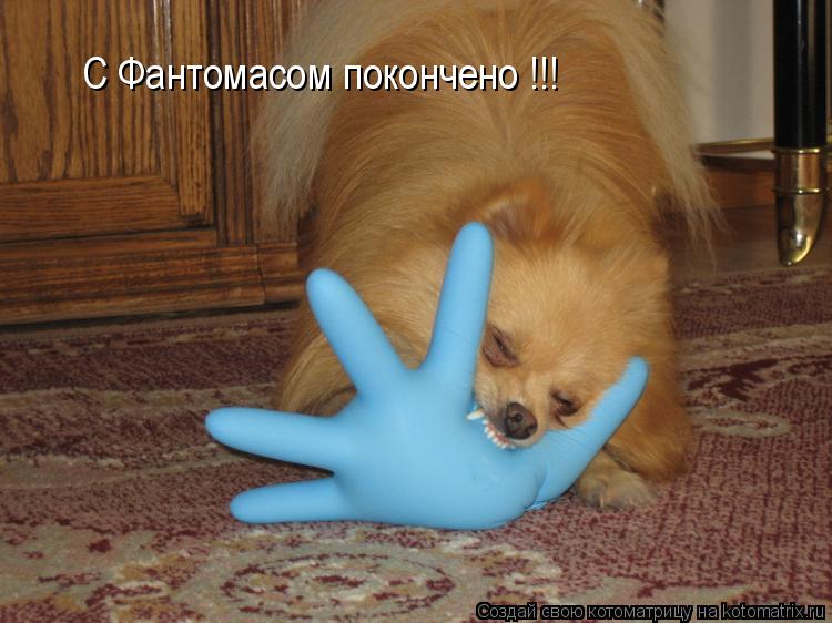 С Фантомасом покончено !!!... Котоматрица: С Фантомасом покончено !!!