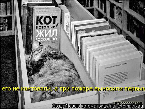 его не кантовали, а при пожаре выносили первым... Котоматрица: его не кантовали, а при пожаре выносили первым