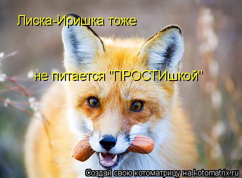 Лиска-Иришка тоже не питается "ПРОСТИшкой"... Котоматрица: Лиска-Иришка тоже не питается "ПРОСТИшкой"