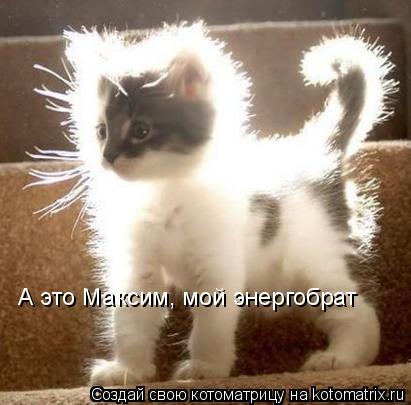 А это Максим, мой энергобрат... Котоматрица: А это Максим, мой энергобрат