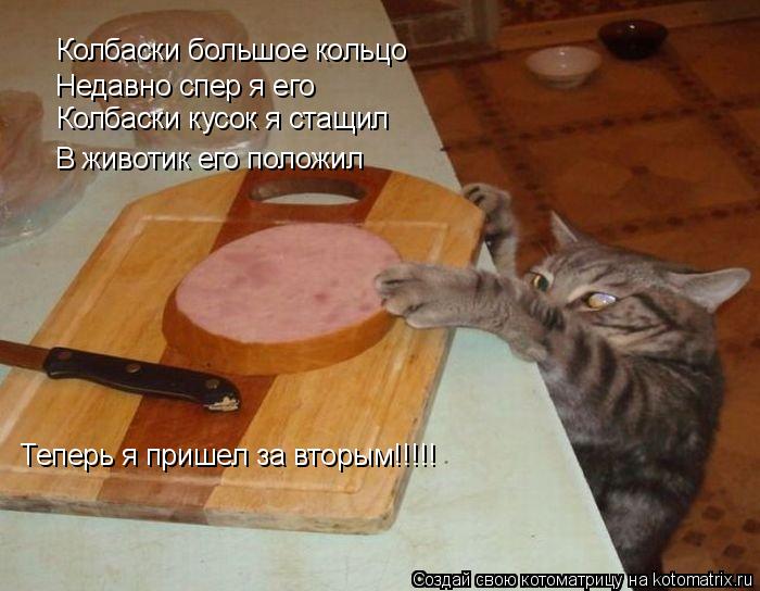 Колбаски большое кольцо Недавно спер я его Колбаски кусок я стащил В животик его положил Теперь я пр... Котоматрица: Колбаски большое кольцо Недавно спер я его Колбаски кусок я стащил В животик его положил Теперь я пришел за вторым!!!!!