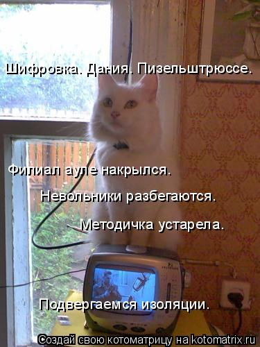 Шифровка. Дания. Пизельштрюссе. Филиал ауле накрылся. Невольники разбегаются. Методичка устарела. П... Котоматрица: Шифровка. Дания. Пизельштрюссе. Филиал ауле накрылся. Невольники разбегаются. Методичка устарела. Подвергаемся изоляции.