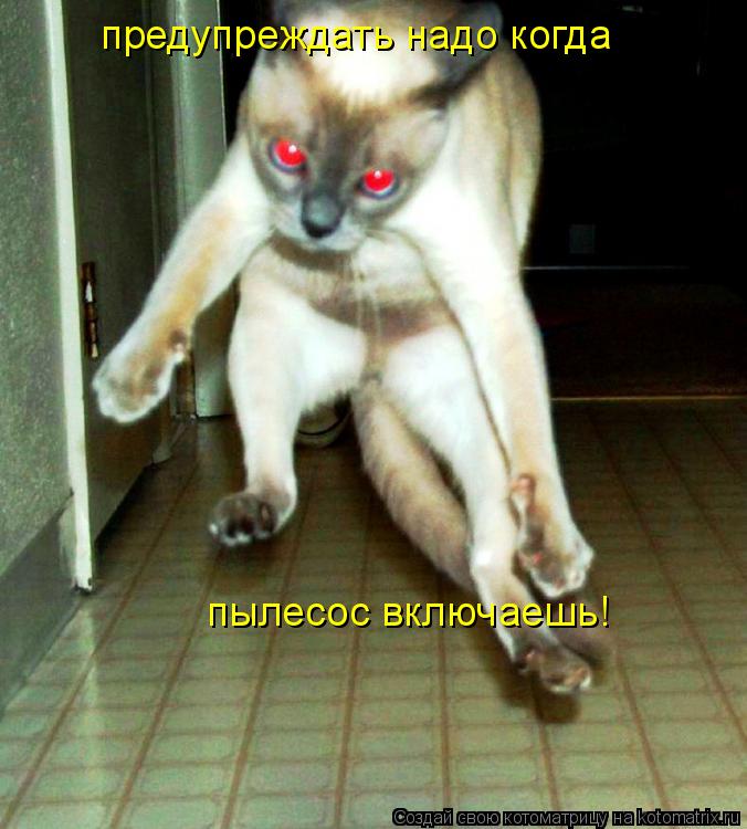 предупреждать надо когда пылесос включаешь!... Котоматрица: предупреждать надо когда пылесос включаешь!