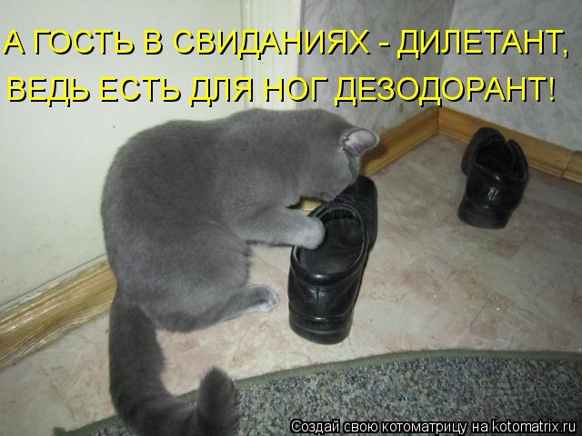 А ГОСТЬ В СВИДАНИЯХ - ДИЛЕТАНТ, ВЕДЬ ЕСТЬ ДЛЯ НОГ ДЕЗОДОРАНТ!... Котоматрица: А ГОСТЬ В СВИДАНИЯХ - ДИЛЕТАНТ, ВЕДЬ ЕСТЬ ДЛЯ НОГ ДЕЗОДОРАНТ!