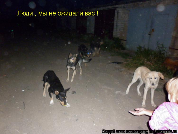 Люди , мы не ожидали вас !... Котоматрица: Люди , мы не ожидали вас !