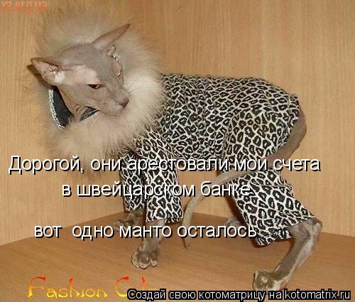 Дорогой, они арестовали мои счета в швейцарском банке вот одно манто осталось... Котоматрица: Дорогой, они арестовали мои счета в швейцарском банке вот одно манто осталось