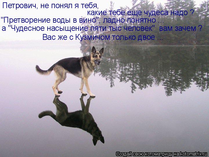 Петрович, не понял я тебя, какие тебе еще чудеса надо ? "Претворение воды в вино", ладно понятно ..... Котоматрица: Петрович, не понял я тебя, какие тебе еще чудеса надо ? "Претворение воды в вино", ладно понятно ... а "Чудесное насыщение пяти тыс человек" ва