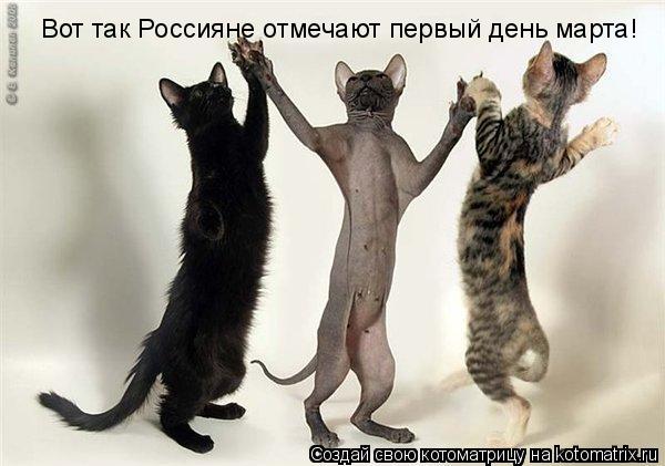 Вот так Россияне отмечают первый день марта!... Котоматрица: Вот так Россияне отмечают первый день марта!