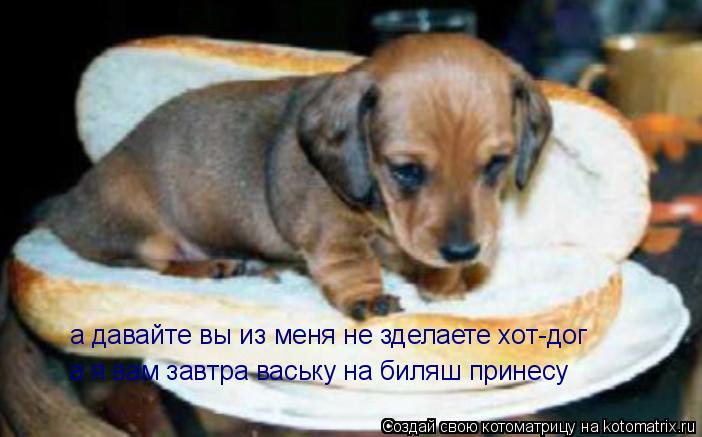 а давайте вы из меня не зделаете хот-дог а я вам завтра ваську на биляш принесу... Котоматрица: а давайте вы из меня не зделаете хот-дог а я вам завтра ваську на биляш принесу