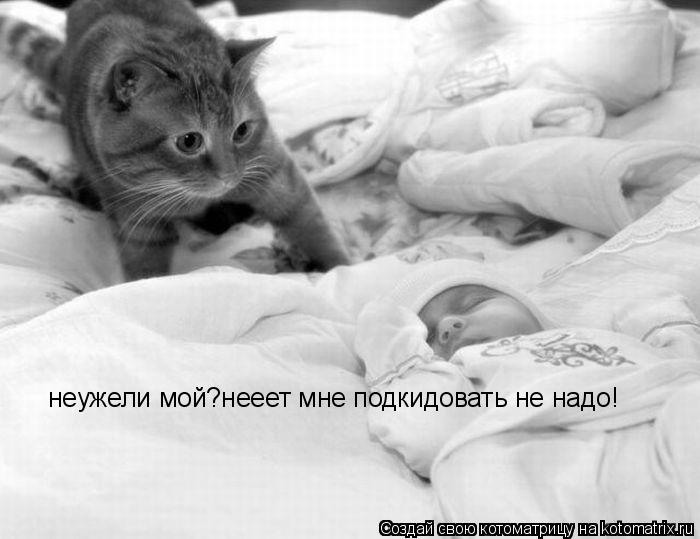 неужели мой?нееет мне подкидовать не надо!... Котоматрица: неужели мой?нееет мне подкидовать не надо!