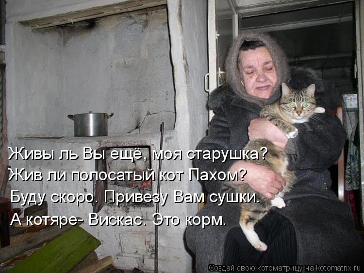 Жив ли полосатый кот Пахом? Буду скоро. Привезу Вам сушки. Живы ль Вы ещё, моя старушка? А котяре- Ви... Котоматрица: Жив ли полосатый кот Пахом? Буду скоро. Привезу Вам сушки. Живы ль Вы ещё, моя старушка? А котяре- Вискас. Это корм.