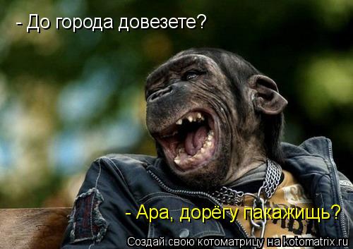 - До города довезете? - Ара, дорёгу пакажищь?... Котоматрица: - До города довезете? - Ара, дорёгу пакажищь?