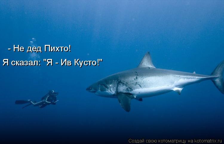 Я сказал: "Я - Ив Кусто!" - Не дед Пихто!... Котоматрица: Я сказал: "Я - Ив Кусто!" - Не дед Пихто!