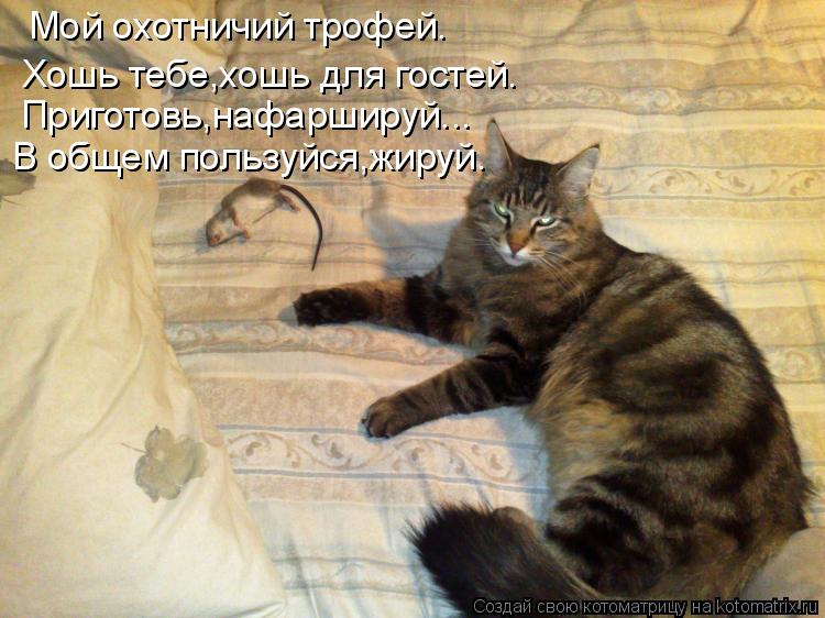 Мой охотничий трофей. Хошь тебе,хошь для гостей. Приготовь,нафаршируй... В общем пользуйся,жируй.... Котоматрица: Мой охотничий трофей. Хошь тебе,хошь для гостей. Приготовь,нафаршируй... В общем пользуйся,жируй.