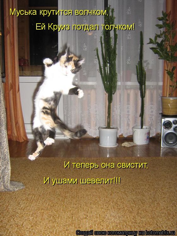 Муська крутится волчком, Ей Круиз потдал толчком! И теперь она свистит, И ушами шевелит!!!... Котоматрица: Муська крутится волчком, Ей Круиз потдал толчком! И теперь она свистит, И ушами шевелит!!!
