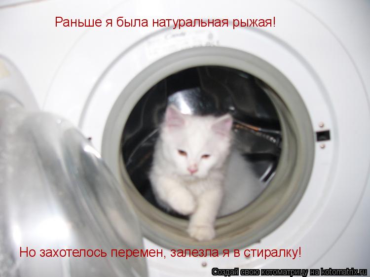 Раньше я была натуральная рыжая! Но захотелось перемен, залезла я в стиралку!... Котоматрица: Раньше я была натуральная рыжая! Но захотелось перемен, залезла я в стиралку!