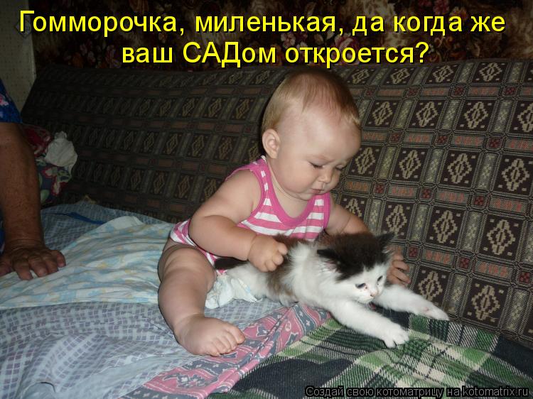 Гомморочка, миленькая, да когда же ваш САДом откроется?... Котоматрица: Гомморочка, миленькая, да когда же ваш САДом откроется?