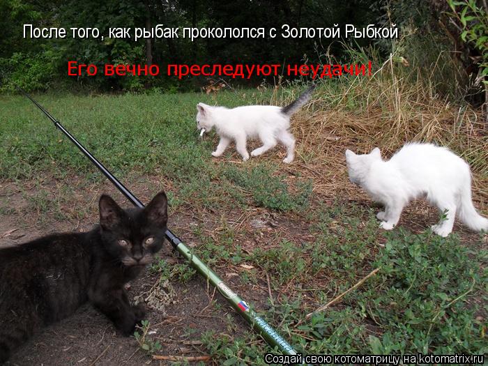 После того, как рыбак прокололся с Золотой Рыбкой Его вечно преследуют неудачи!... Котоматрица: После того, как рыбак прокололся с Золотой Рыбкой Его вечно преследуют неудачи!