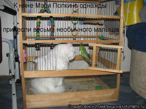 К няне Мэри Попкинс однажды принесли весьма необычного малыша... Котоматрица: К няне Мэри Попкинс однажды принесли весьма необычного малыша