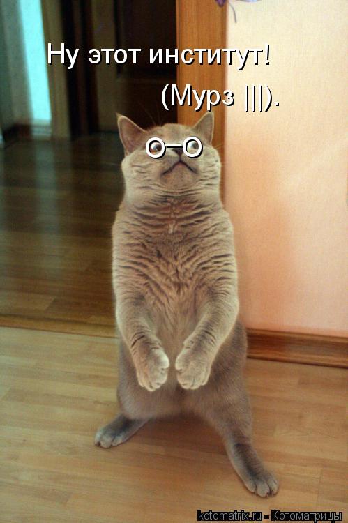 О О _ Ну этот институт! (Мурз |||).... Котоматрица: О О _ Ну этот институт! (Мурз |||).