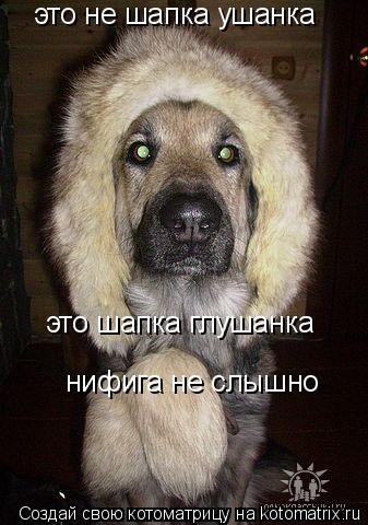 это не шапка ушанка это шапка глушанка нифига не слышно... Котоматрица: это не шапка ушанка это шапка глушанка нифига не слышно