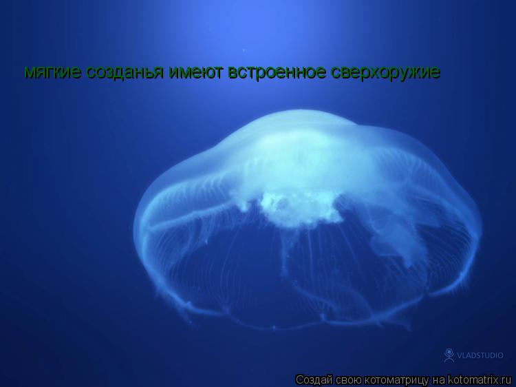 мягкие созданья имеют встроенное сверхоружие... Котоматрица: мягкие созданья имеют встроенное сверхоружие